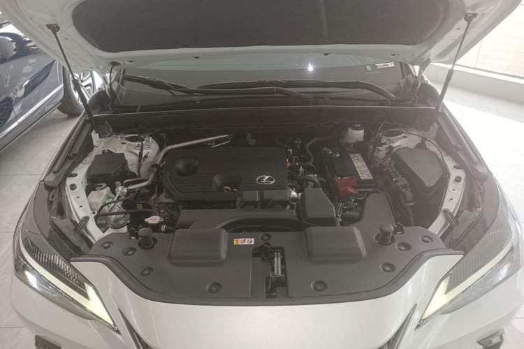 Used Lexus NX 2022 260 Front-Wheel Drive Chuan Yue Edition Engine Bay