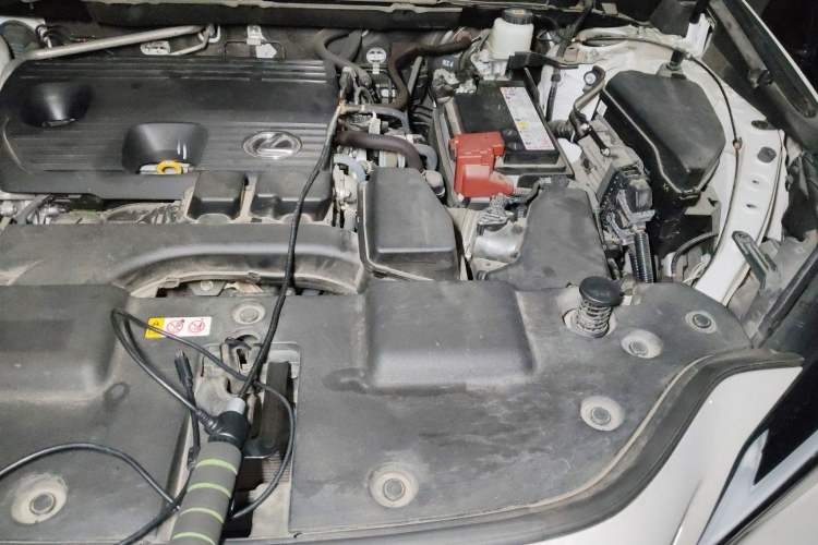 Used Lexus NX 2022 260 Front-Wheel Drive Chuan Yue Edition Engine Bay Left