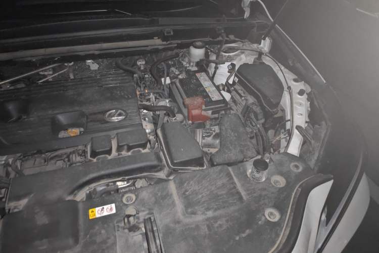 Used Lexus NX 2022 260 Front-Wheel Drive Chuan Yue Edition Engine Bay Left