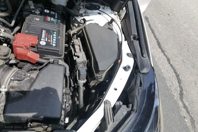 Used Lexus NX 2022 260 Front-Wheel Drive Chuanchi Edition Engine Bay Left