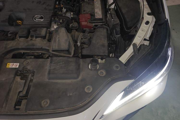 Used Lexus NX 2022 260 Front-Wheel Drive Chuanchi Edition Engine Bay Left