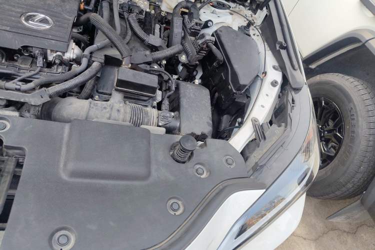 Used Lexus NX 2022 350h Front-Wheel-Drive Innovation Edition Engine Bay Left