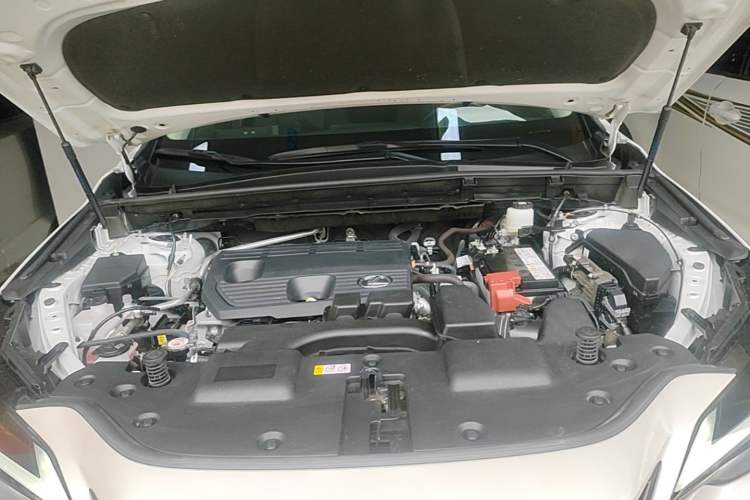 Used Lexus NX 2022 260 Front-Wheel Drive Chuan Yue Edition Engine Bay