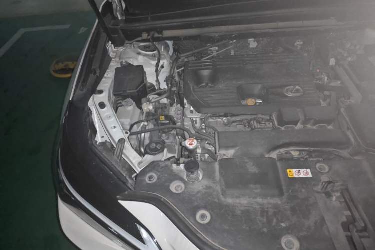 Used Lexus NX 2022 260 Front-Wheel Drive Chuan Yue Edition Engine Bay Right