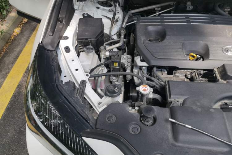 Used Lexus NX 2022 260 Front-Wheel Drive Chuanchi Edition Engine Bay Right