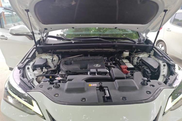 Used Lexus NX 2022 260 Front-Wheel Drive Chuanchi Edition Engine Bay Right
