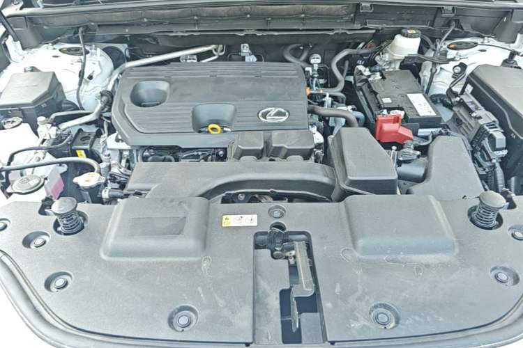 Used Lexus NX 2022 260 Front-Wheel Drive Chuan Yue Edition Engine Bay