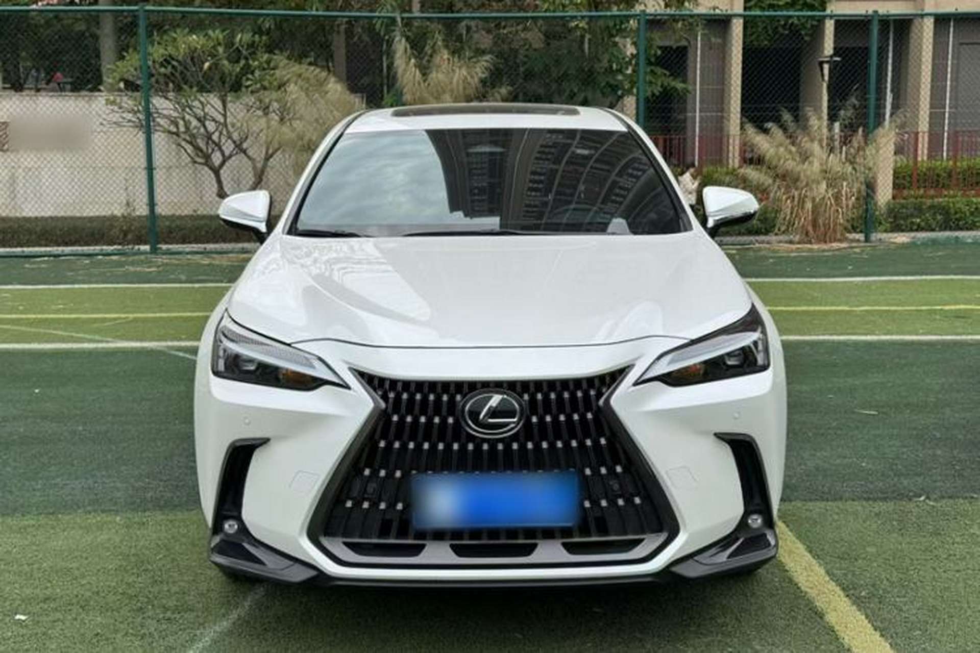 Used Lexus NX 2022 260 Front-Wheel Drive Chuan Yue Edition Exterior 6