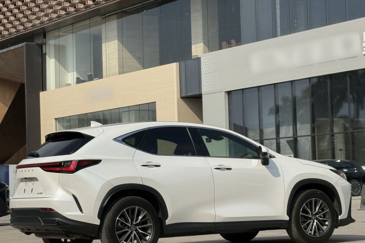 Used Lexus NX 2022 260 Front-Wheel Drive Chuan Yue Edition Exterior 6