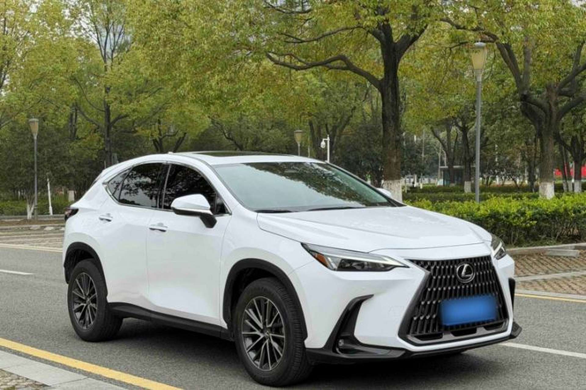 Used Lexus NX 2022 350h Front-Wheel-Drive Innovation Edition Exterior 7