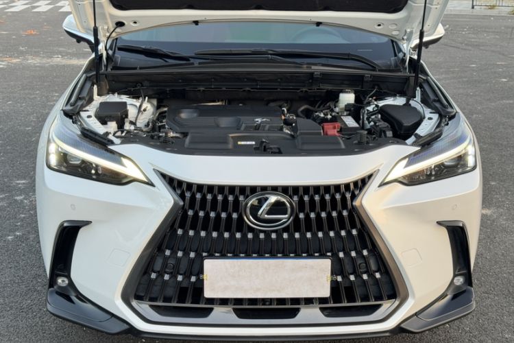 Used Lexus NX 2022 260 Front-Wheel Drive Chuan Yue Edition Exterior 8