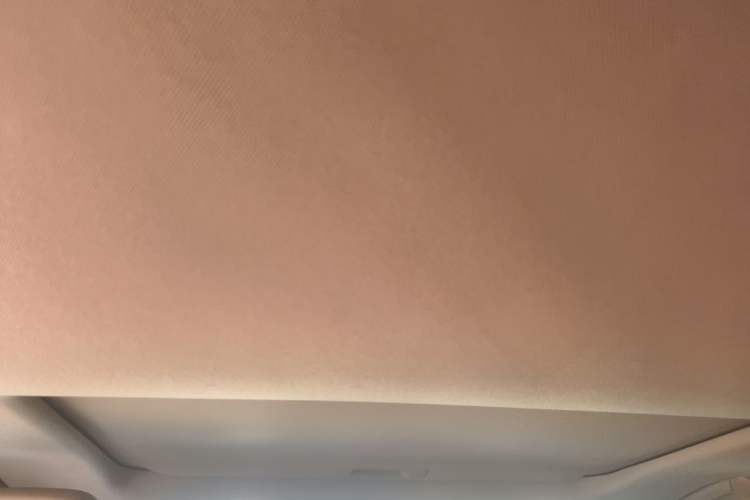 Used Lexus NX 2022 350h Front-Wheel-Drive Innovation Edition Headliner