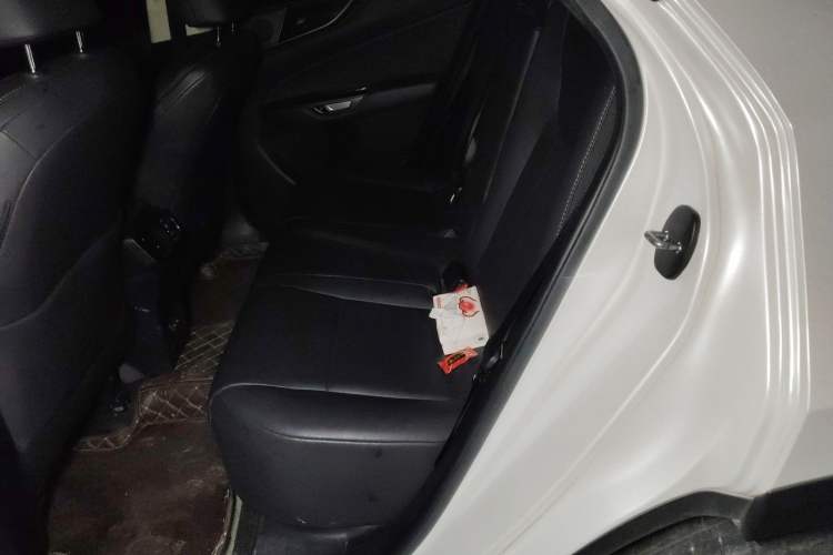 Used Lexus NX 2022 260 Front-Wheel Drive Chuan Yue Edition Left Rear Seat
