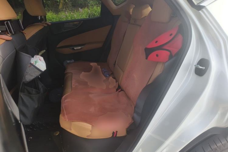 Used Lexus NX 2022 350h Front-Wheel-Drive Innovation Edition Left Rear Seat