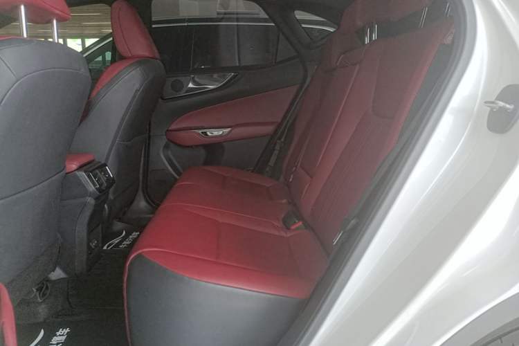 Used Lexus NX 2022 260 Front-Wheel Drive Chuan Yue Edition Left Rear Seat