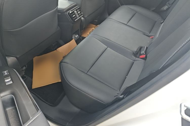 Used Lexus NX 2022 260 Front-Wheel Drive Chuan Yue Edition Left Rear Seat