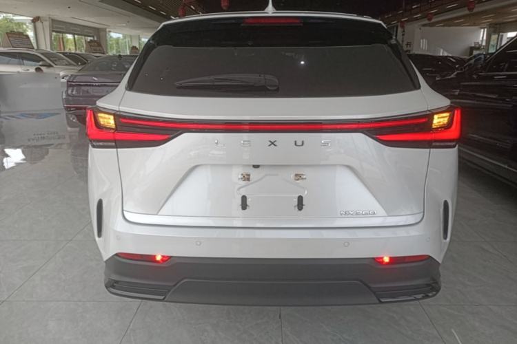 Used Lexus NX 2022 260 Front-Wheel Drive Chuan Yue Edition Rear