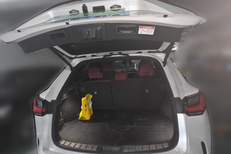 Used Lexus NX 2022 260 Front-Wheel Drive Chuan Yue Edition Trunk