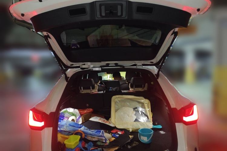 Used Lexus NX 2022 260 Front-Wheel Drive Chuanchi Edition Trunk