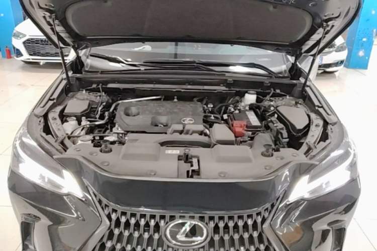 Used Lexus NX 2023 260 Front-Wheel Drive Chuan Yue Edition Engine Bay