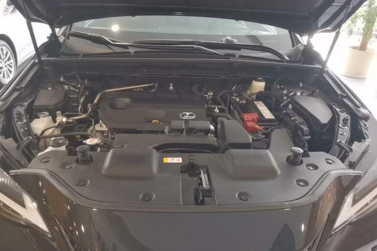Used Lexus NX 2023 260 Front-Wheel Drive Chuan Yue Edition Engine Bay