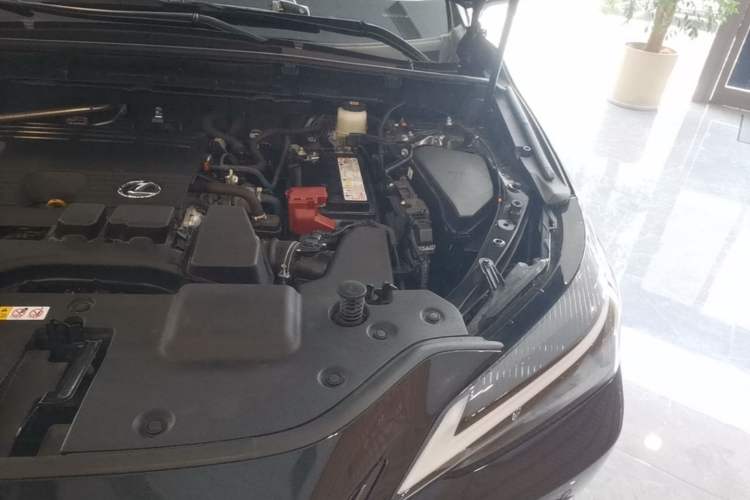Used Lexus NX 2023 260 Front-Wheel Drive Chuan Yue Edition Engine Bay Left
