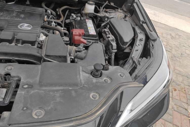 Used Lexus NX 2023 260 Front-Wheel Drive Chuanchi Edition Engine Bay Left