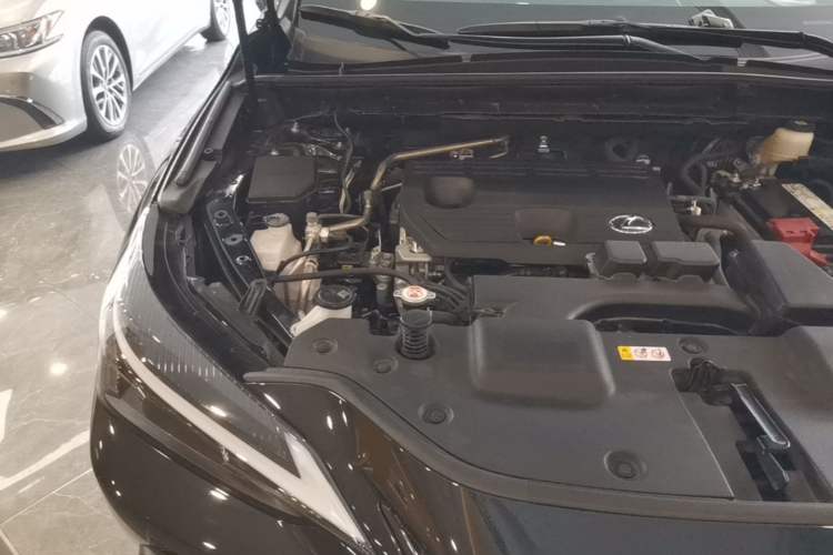 Used Lexus NX 2023 260 Front-Wheel Drive Chuan Yue Edition Engine Bay Right
