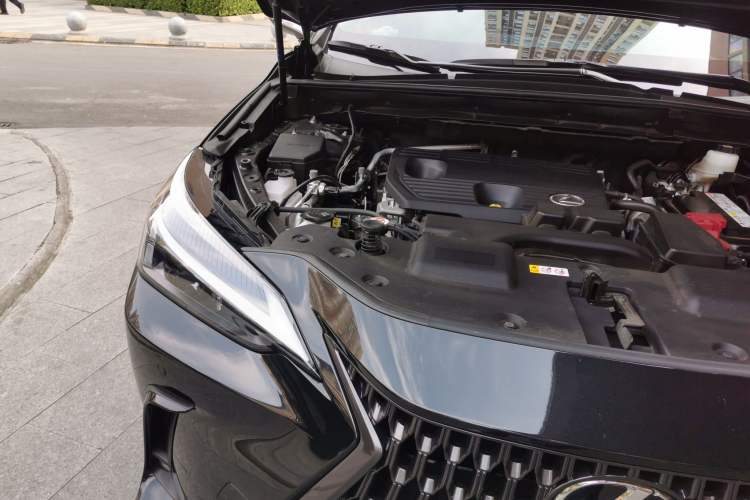 Used Lexus NX 2023 260 Front-Wheel Drive Chuan Yue Edition Engine Bay Right
