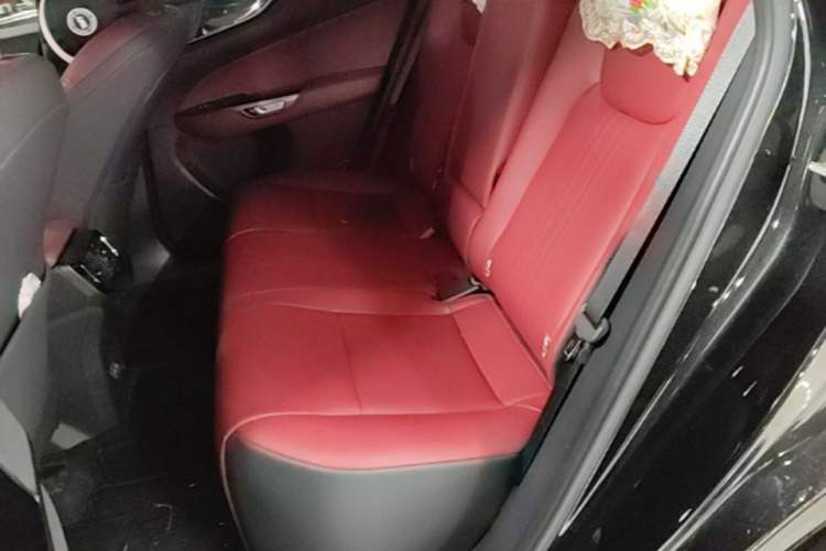 Used Lexus NX 2023 260 Front-Wheel Drive Chuan Yue Edition Left Rear Seat