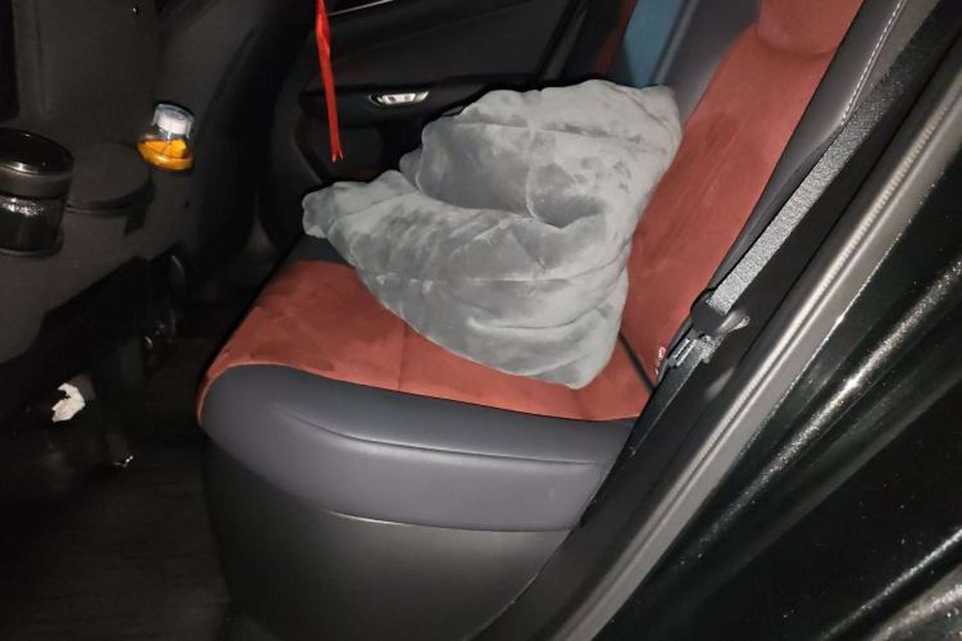 Used Lexus NX 2023 350h Front-Wheel-Drive Xinchichi Version Left Rear Seat