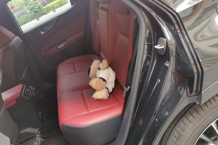 Used Lexus NX 2023 260 Front-Wheel Drive Chuan Yue Edition Left Rear Seat