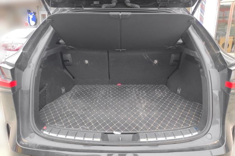 Used Lexus NX 2023 260 Front-Wheel Drive Chuanchi Edition Trunk
