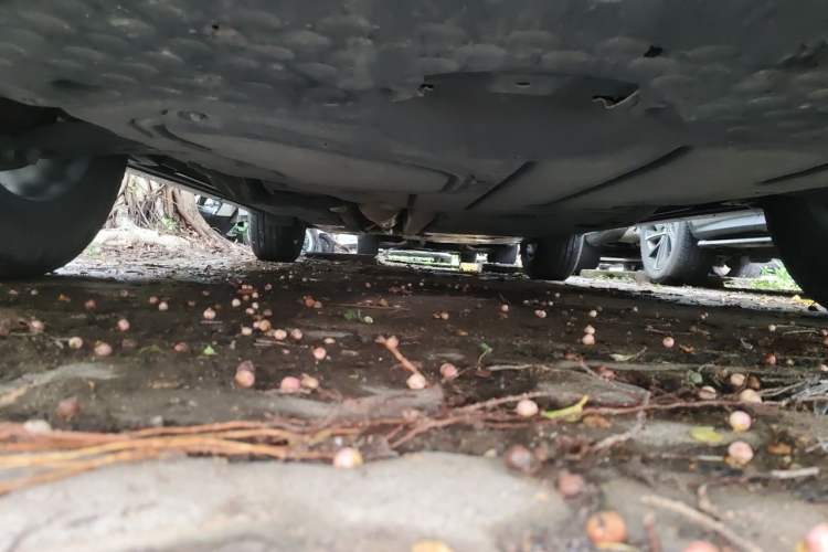 Used Lexus NX 2023 260 Front-Wheel Drive Chuanchi Edition Chassis Front