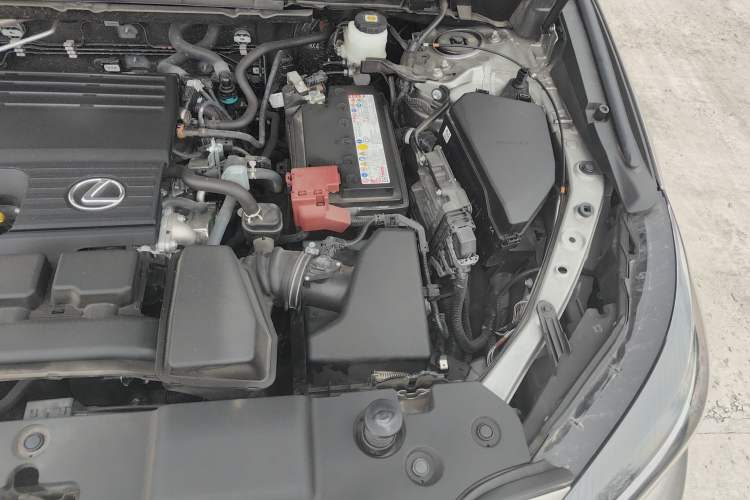 Used Lexus NX 2023 260 Front-Wheel Drive Chuanchi Edition Engine Bay Left