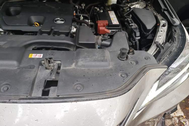 Used Lexus NX 2023 260 Front-Wheel Drive Chuanchi Edition Engine Bay Left