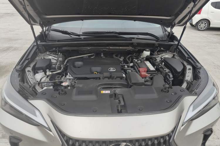 Used Lexus NX 2023 260 Front-Wheel Drive Chuanchi Edition Engine Bay