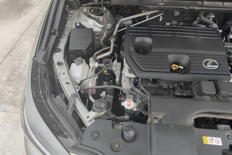 Used Lexus NX 2023 260 Front-Wheel Drive Chuanchi Edition Engine Bay Right