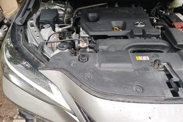 Used Lexus NX 2023 260 Front-Wheel Drive Chuanchi Edition Engine Bay Right