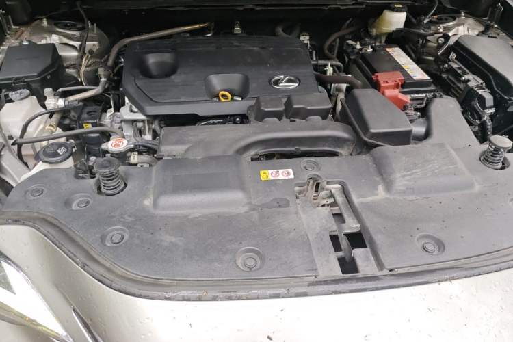 Used Lexus NX 2023 260 Front-Wheel Drive Chuanchi Edition Engine Bay
