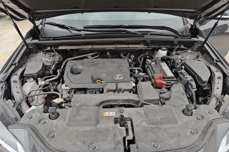 Used Lexus NX 2023 260 Front-Wheel Drive ChuanYou Special Edition Engine Bay