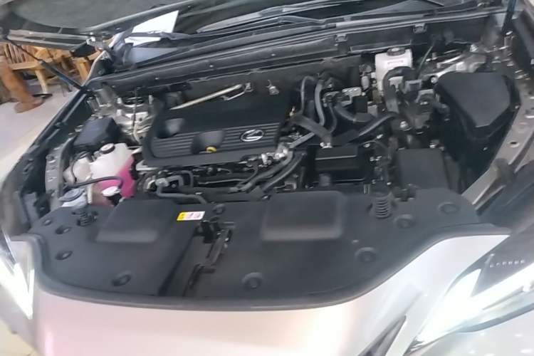 Used Lexus NX 2023 350h Front-Wheel-Drive Chuan Yue Edition Engine Bay