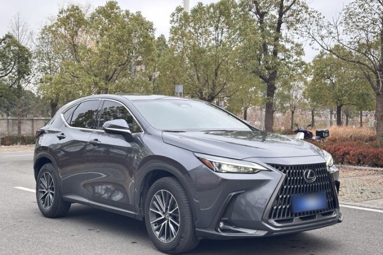 Used Lexus NX 2023 260 Front-Wheel Drive ChuanYou Special Edition Exterior 2