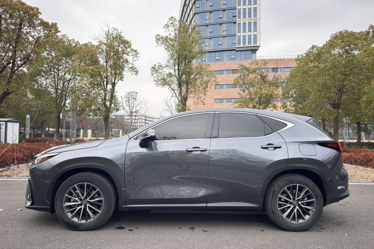 Used Lexus NX 2023 260 Front-Wheel Drive ChuanYou Special Edition Exterior 3