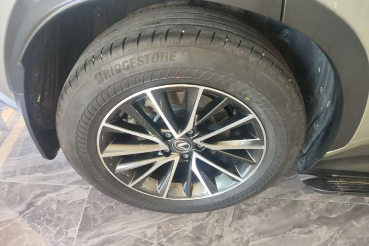 Used Lexus NX 2023 260 Front-Wheel Drive Chuanchi Edition Exterior 5