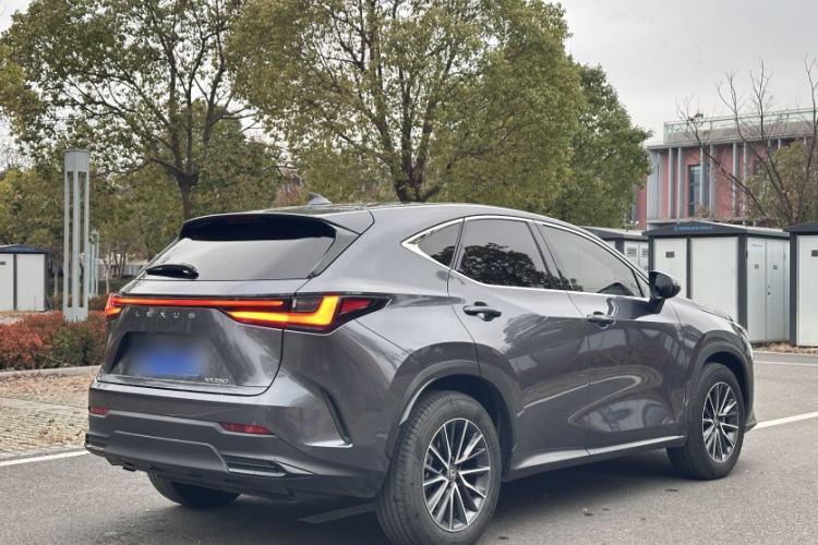 Used Lexus NX 2023 260 Front-Wheel Drive ChuanYou Special Edition Exterior 5