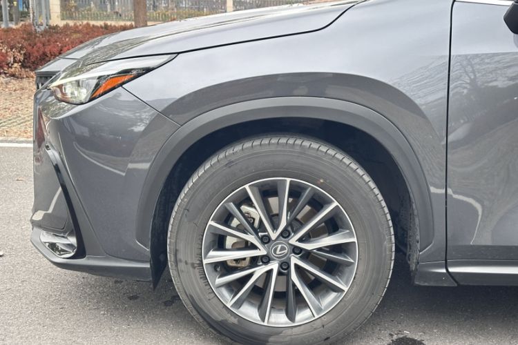 Used Lexus NX 2023 260 Front-Wheel Drive ChuanYou Special Edition Exterior 7
