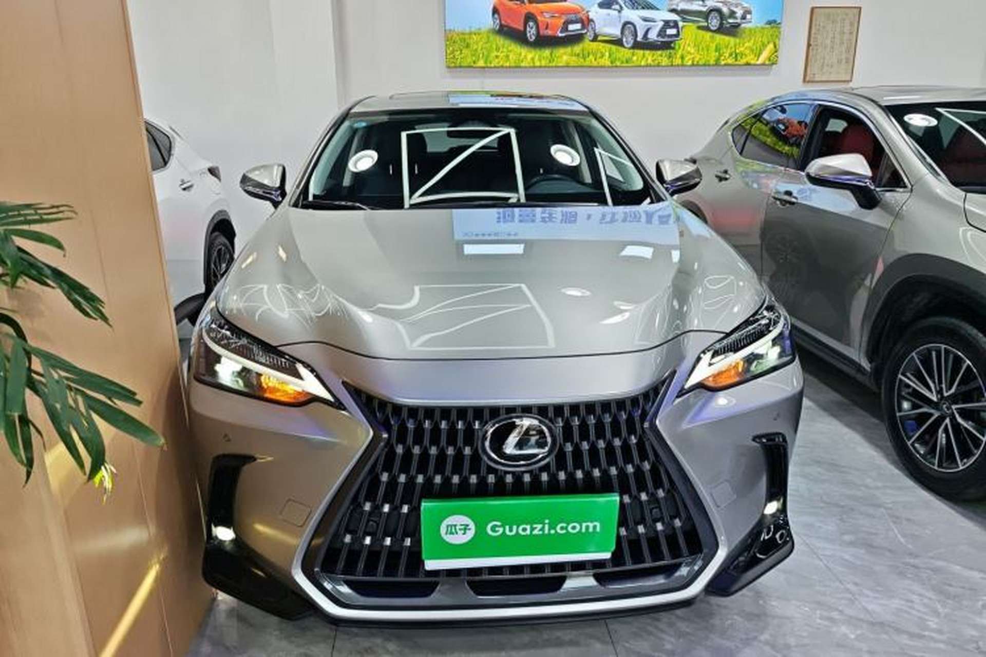 Used Lexus NX 2023 350h Front-Wheel-Drive Chuan Yue Edition Front