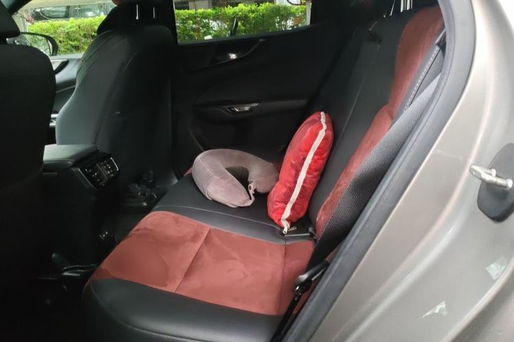 Used Lexus NX 2023 260 Front-Wheel Drive Chuanchi Edition Left Rear Seat