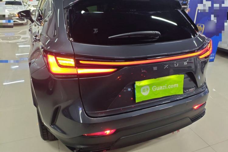 Used Lexus NX 2023 260 Front-Wheel Drive ChuanYou Special Edition Rear